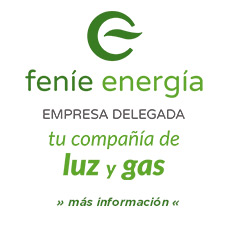 fenie energia